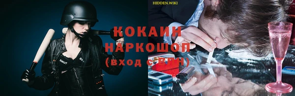 дмт Костерёво