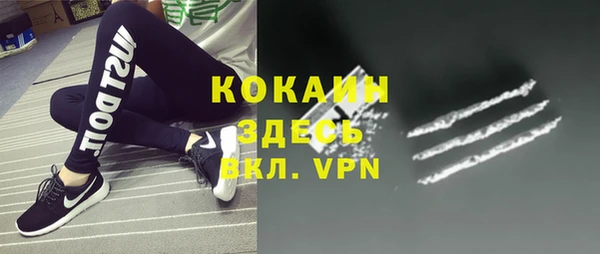 дмт Костерёво