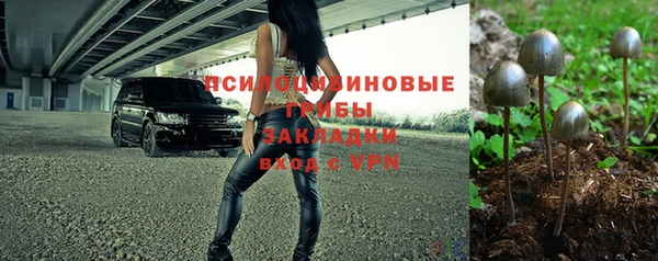 дмт Костерёво
