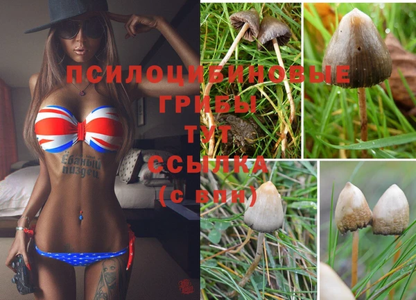 гашишное масло Корсаков
