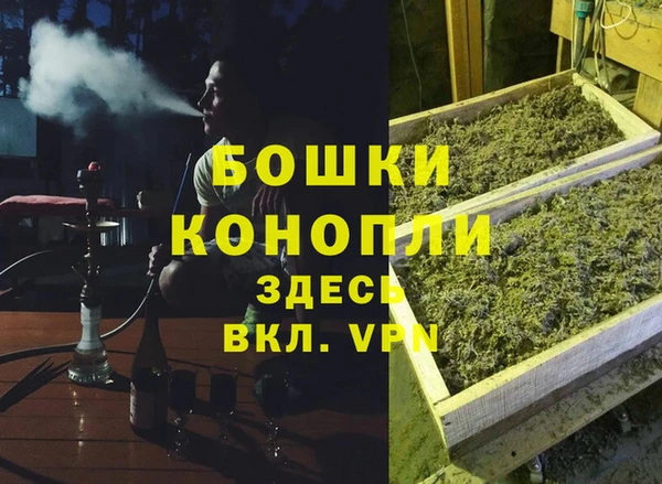 спайс Коряжма