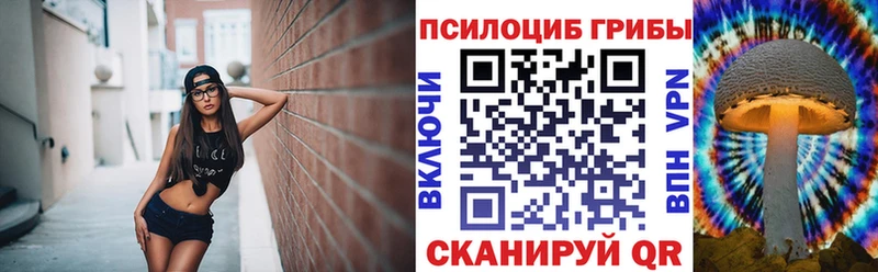 Галлюциногенные грибы ЛСД  Купить  Правдинск 